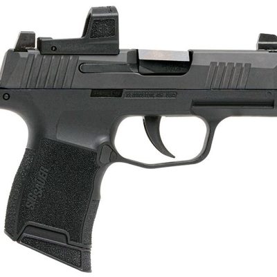 Get P365-380 Online