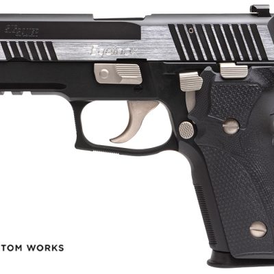 P229 Equinox Elite Compact Direct