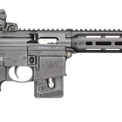 S&W M&P15-22 Performance Center Sport .22 LR 18in 10+1