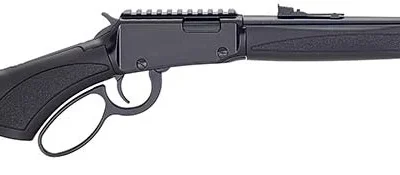 Henry H1 X Model Rifle