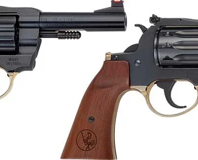 Henry H16 Golden Boy Deadeye Revolver