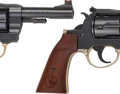 Henry H17 Big Boy Deadeye Revolver