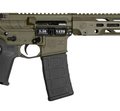 Diamondback DB15 Obsidian 5.56 NATO 11.5in ODG SBA5 Brace