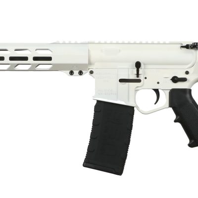 Wise Arms WA-15B 5.56 NATO 16-inch White Cerakote